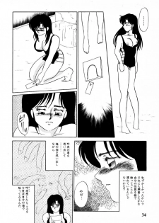 [Umino Yayoi] Mitsuraku e no Shoutaijou - page 29