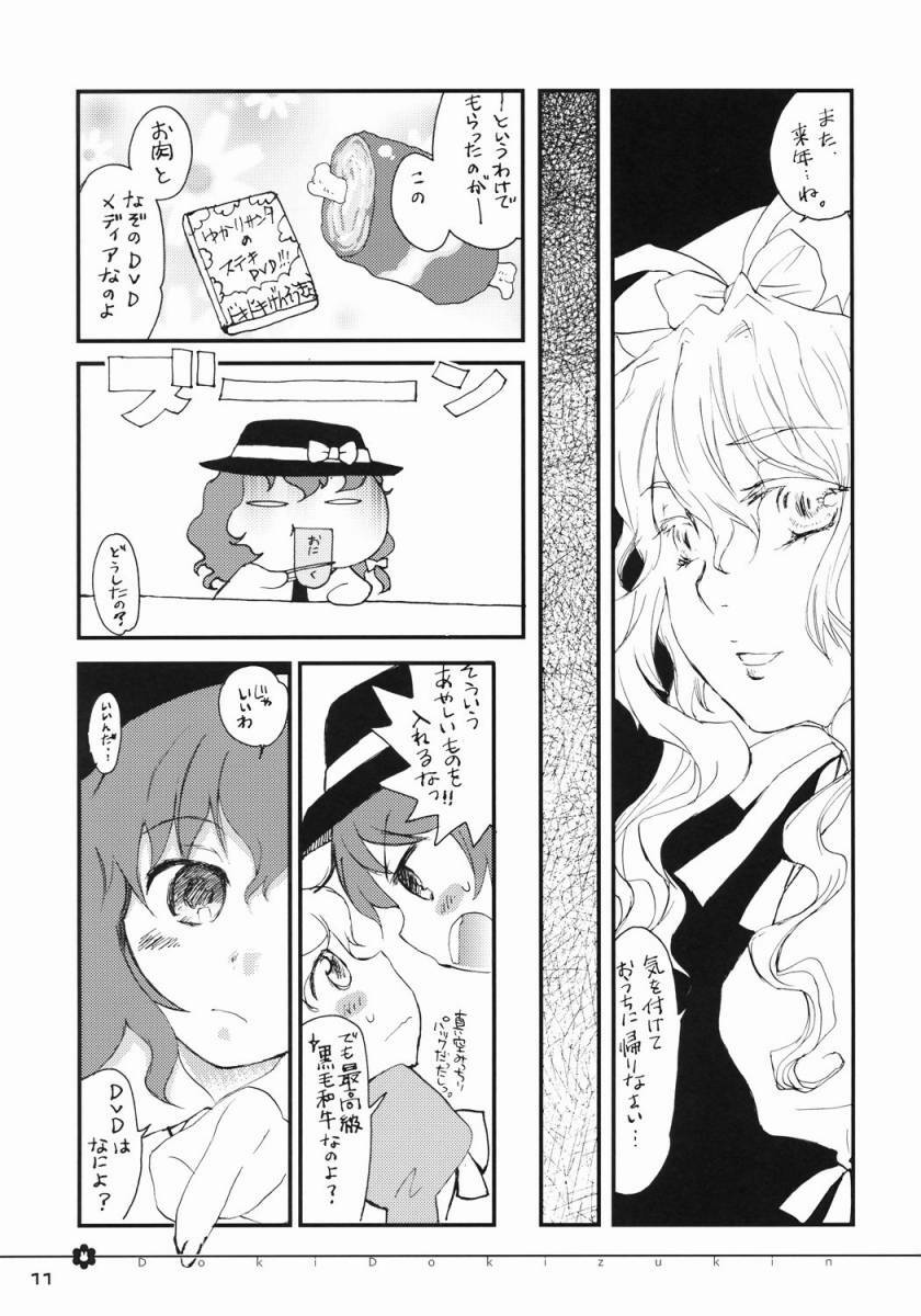 (C71) [Shoujo Zukin (Hatomugi Munmun)] Doki Doki Zukin vol. 1 (Touhou Project) page 9 full