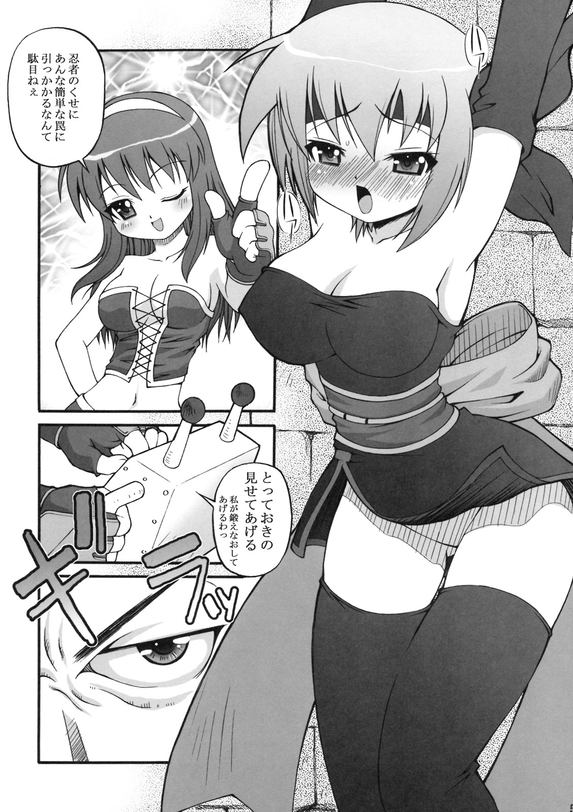 (C68) [Kakogawa-ya (Kakogawa Tarou)] ROWDY BUTTERFLY (Dead or Alive) page 4 full