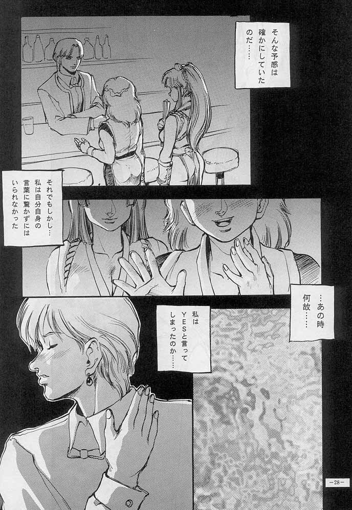 (C51) [D.G.S (Sengoku-kun)] Sengoku 2 (King of Fighters, Street Fighter) page 27 full