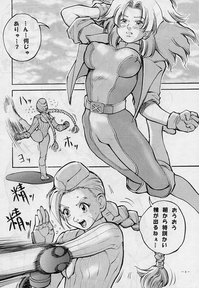 (C51) [D.G.S (Sengoku-kun)] Sengoku 2 (King of Fighters, Street Fighter) page 3 full