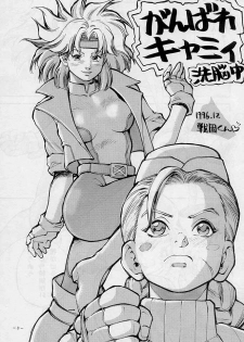 (C51) [D.G.S (Sengoku-kun)] Sengoku 2 (King of Fighters, Street Fighter) - page 2