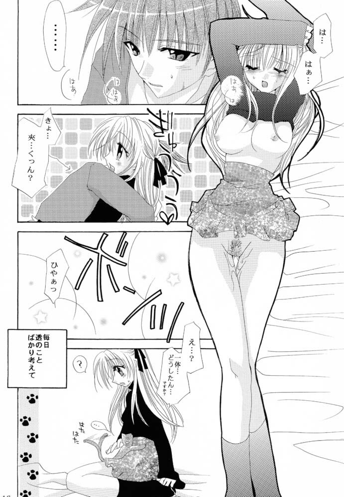 [FANTASY WIND (Shinano Yura)] Tsuyoku Hakanai Mono-tachi 2 (Fruits Basket) page 15 full