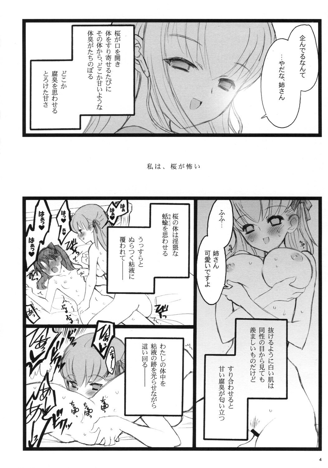 (C70)[Keumaya (Inoue Junichi)] Hyena 2 (Fate/stay night) page 3 full