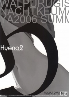 (C70)[Keumaya (Inoue Junichi)] Hyena 2 (Fate/stay night) - page 26