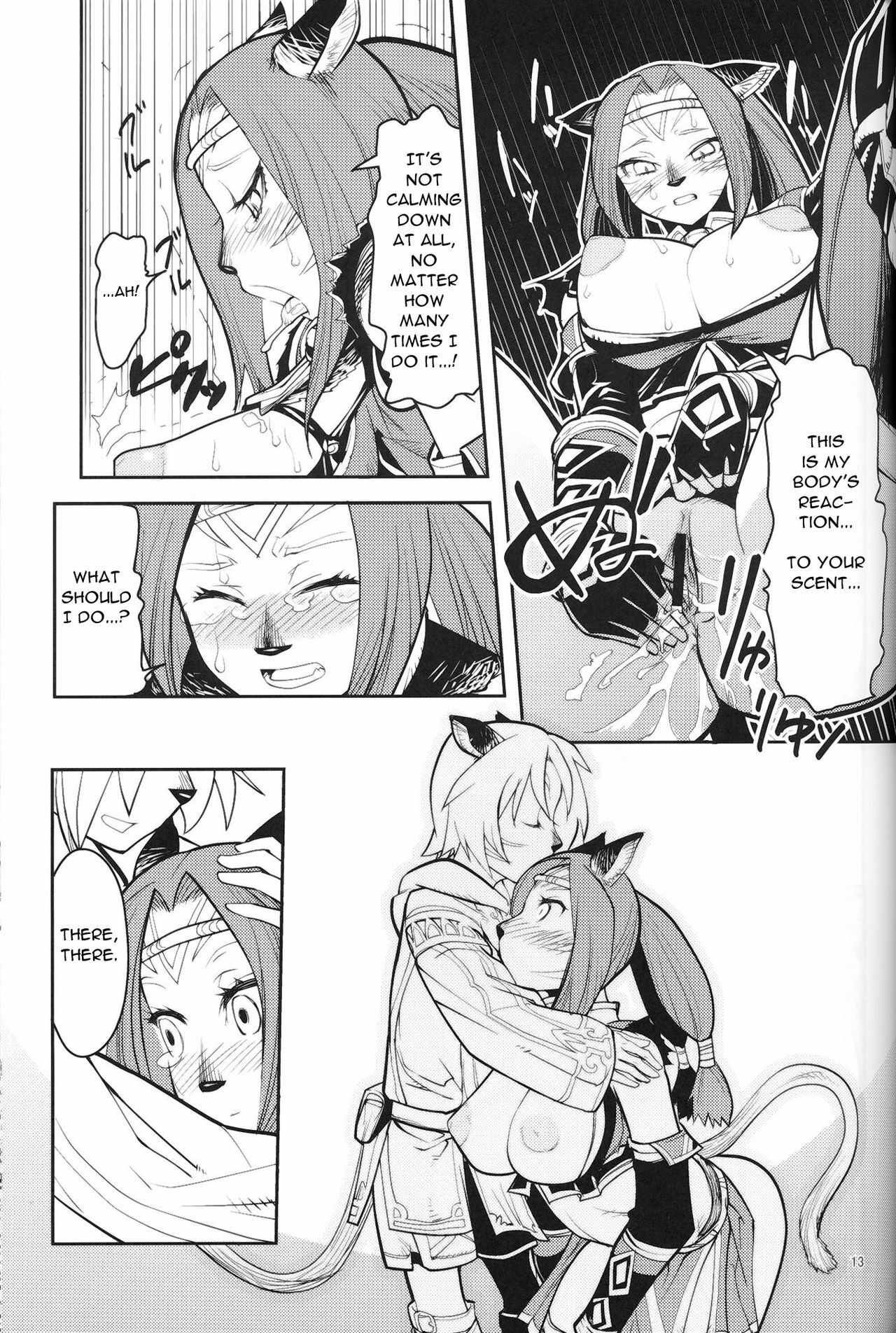 (C75) [Kuroshiki (Kurohiko)] Kuroshiki Vol. 7 (Final Fantasy XI) [English] page 12 full