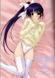 (C61) [Shikkokuno J.P.S. (Hasumi Elan)] BLACK BEAUTY 2001 - page 2