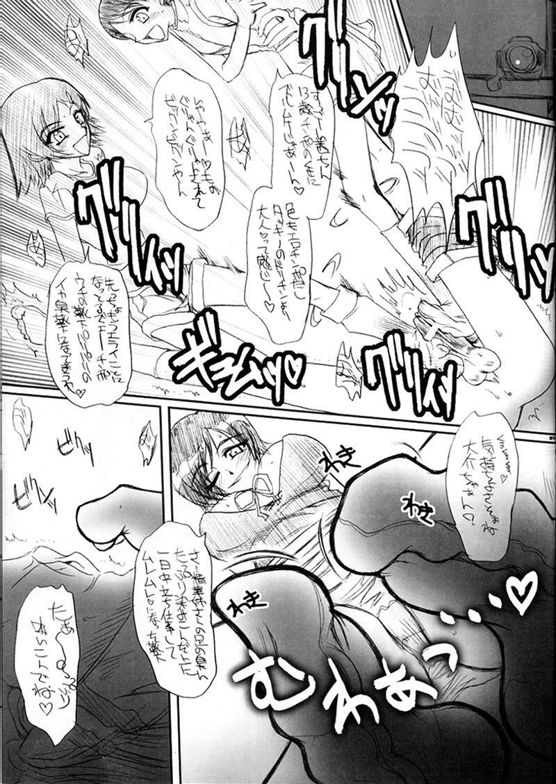 (C60) [BARRICADE (Nishizaki Byouya)] Inran Butou (Gunparade March) page 30 full