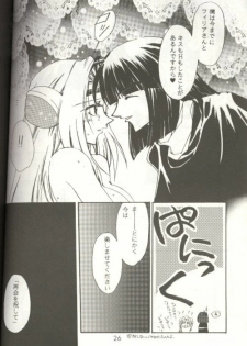 (C53) [Ayashii Omise (Terada Rin, Fujimiya Hajime)] Himitsu (Slayers) - page 12