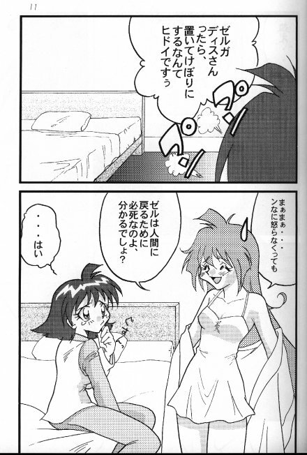 [Ginmomodou (Mita Satomi)] Slayers Adult 8 (Slayers) page 12 full