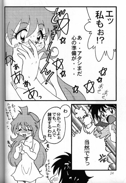 [Ginmomodou (Mita Satomi)] Slayers Adult 8 (Slayers) page 25 full