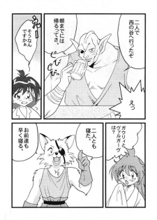 [Ginmomodou (Mita Satomi)] Slayers Adult 8 (Slayers) - page 11