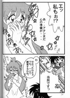 [Ginmomodou (Mita Satomi)] Slayers Adult 8 (Slayers) - page 25