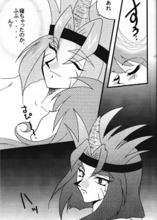 [Ginmomodou (Mita Satomi)] Slayers Adult 8 (Slayers) - page 48