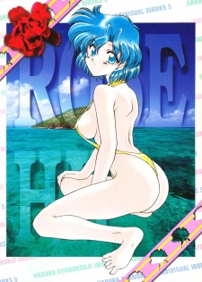 (C52) [Rose Water (Haruka Ayanokouji)] Rose Water 5 Rose Hip (Bishoujo Senshi Sailor Moon)