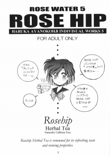 (C52) [Rose Water (Haruka Ayanokouji)] Rose Water 5 Rose Hip (Bishoujo Senshi Sailor Moon) - page 2