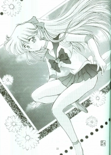 (C52) [Rose Water (Haruka Ayanokouji)] Rose Water 5 Rose Hip (Bishoujo Senshi Sailor Moon) - page 32