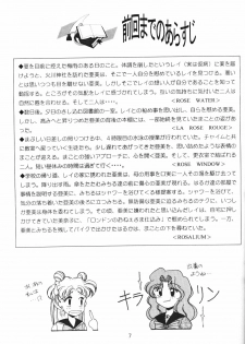 (C52) [Rose Water (Haruka Ayanokouji)] Rose Water 5 Rose Hip (Bishoujo Senshi Sailor Moon) - page 6