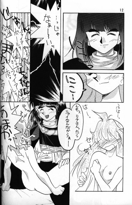 [Ginmomodou (Mita Satomi)] Slayers Adult 5 (Slayers) page 10 full