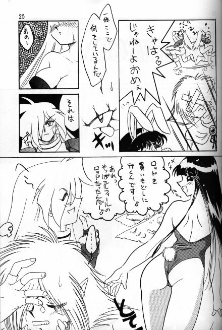 [Ginmomodou (Mita Satomi)] Slayers Adult 5 (Slayers) page 23 full