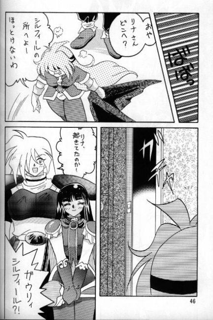[Ginmomodou (Mita Satomi)] Slayers Adult 5 (Slayers) page 44 full