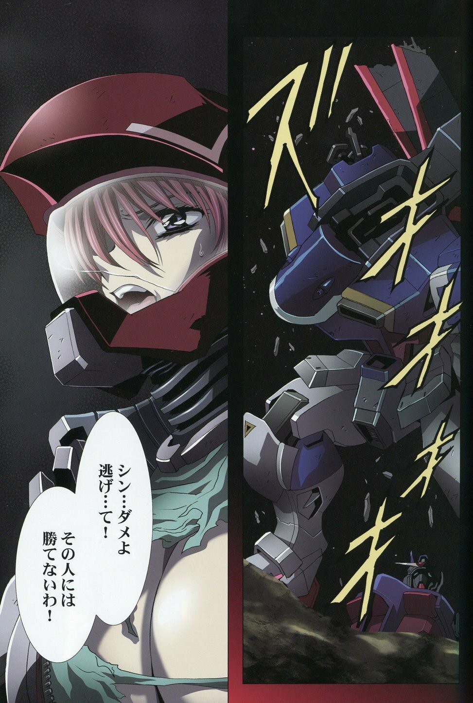 (C74) [HenReiKai (Kawarajima Koh)] SEED ANOTHER CENTURY D.E 6 (Gundam SEED) page 8 full