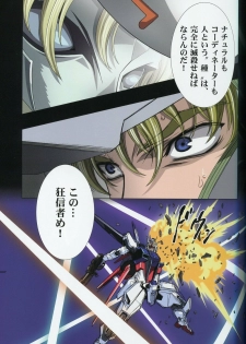 (C74) [HenReiKai (Kawarajima Koh)] SEED ANOTHER CENTURY D.E 6 (Gundam SEED) - page 18