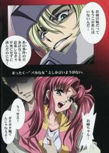 (C74) [HenReiKai (Kawarajima Koh)] SEED ANOTHER CENTURY D.E 6 (Gundam SEED) - page 21