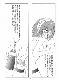 (C57)[SXS (Hibiki Seiya, Ruen Roga, Takatoki Tenmaru)] DARKSTAR (Various) - page 24