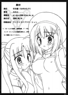 (C76) [Namekataya (Mitani)] Hayate-chan to XXX (Ryoujoku Ban) (Mahou Shoujo Lyrical Nanoha) - page 25