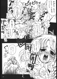 (C67) [Kobiran House (House Kobiran)] Nantai Kansoku (Futari wa PreCure) - page 25