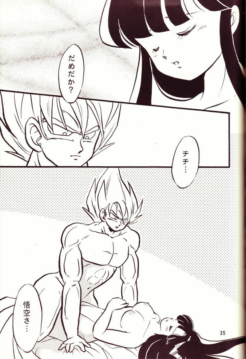 (C44) [Y.M.Sensha (Yoshida Yoshimi, Matsumoto Himiko)] Kiken Chitai (Dragon Ball Z) page 31 full