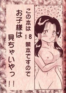 (C44) [Y.M.Sensha (Yoshida Yoshimi, Matsumoto Himiko)] Kiken Chitai (Dragon Ball Z) - page 5