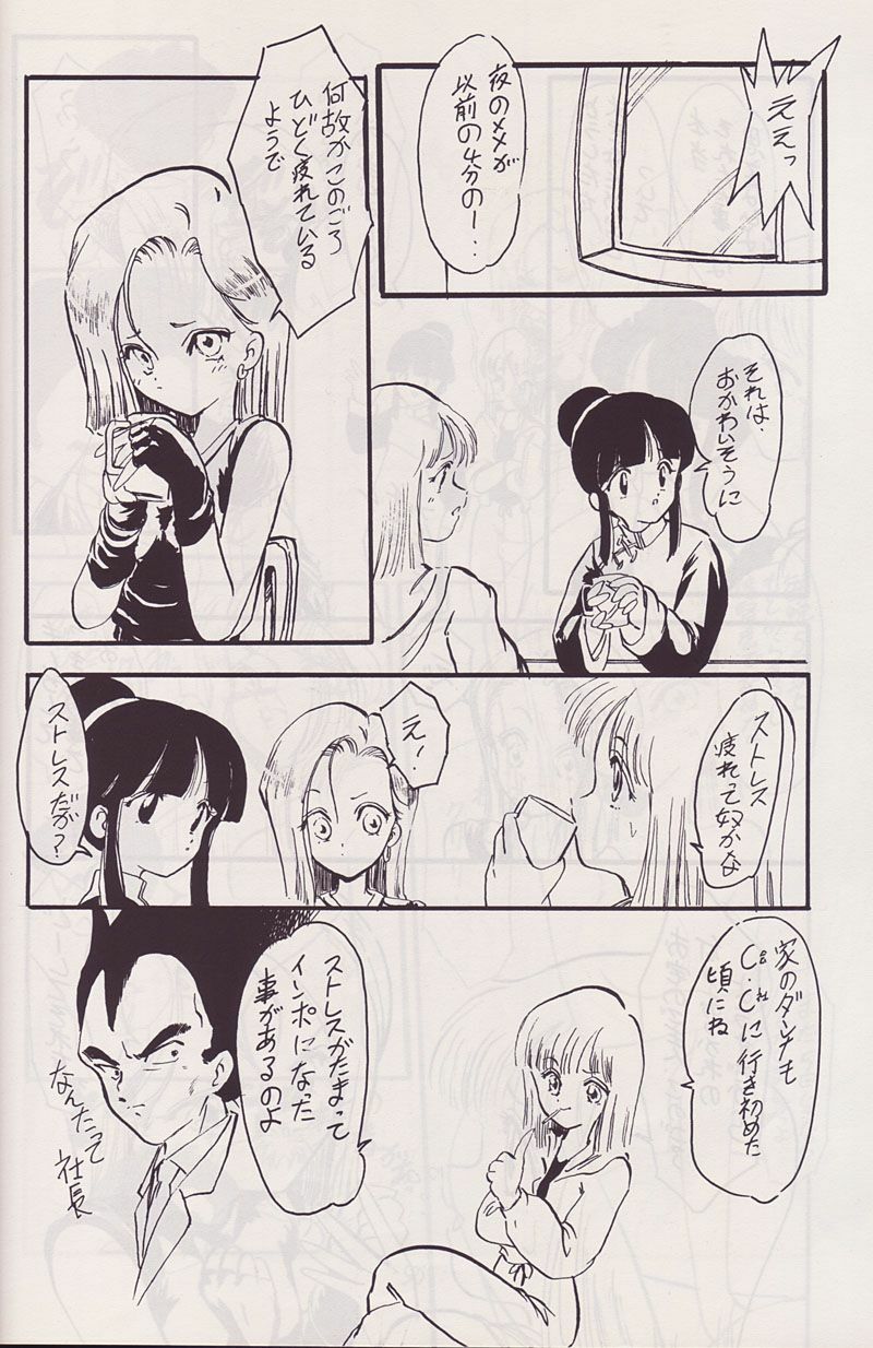 (CR14) [Kokuryuukigun (Various)] P-ARK (Dragon Ball Z) [Incomplete] page 19 full