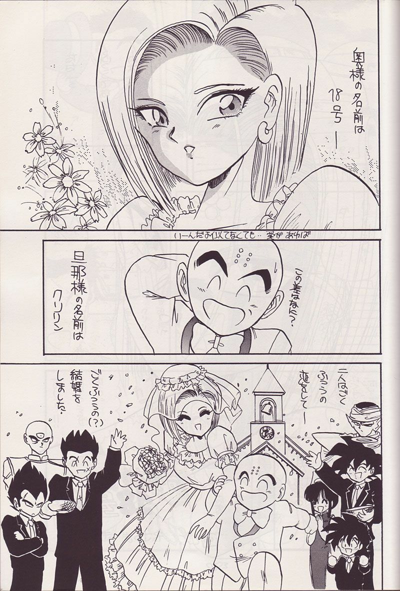 (CR14) [Kokuryuukigun (Various)] P-ARK (Dragon Ball Z) [Incomplete] page 2 full