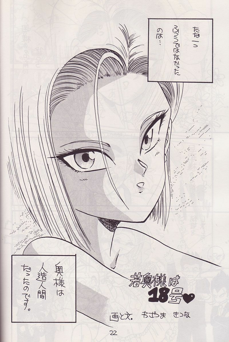 (CR14) [Kokuryuukigun (Various)] P-ARK (Dragon Ball Z) [Incomplete] page 3 full