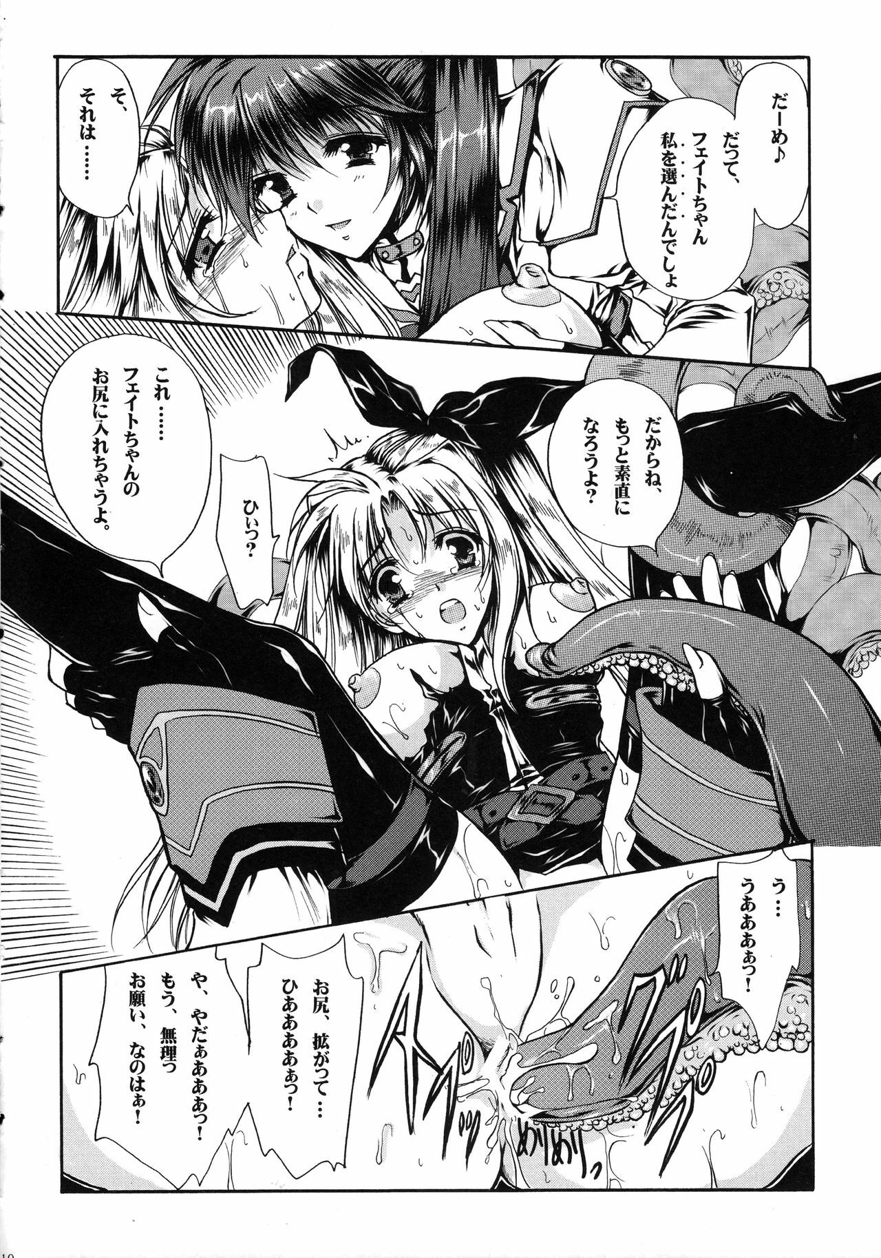 (Lyrical Magical 5) [Gin No Hoshitei (Tamiya Akito)] In Search Of Sanity (Mahou Shoujo Lyrical Nanoha) page 11 full