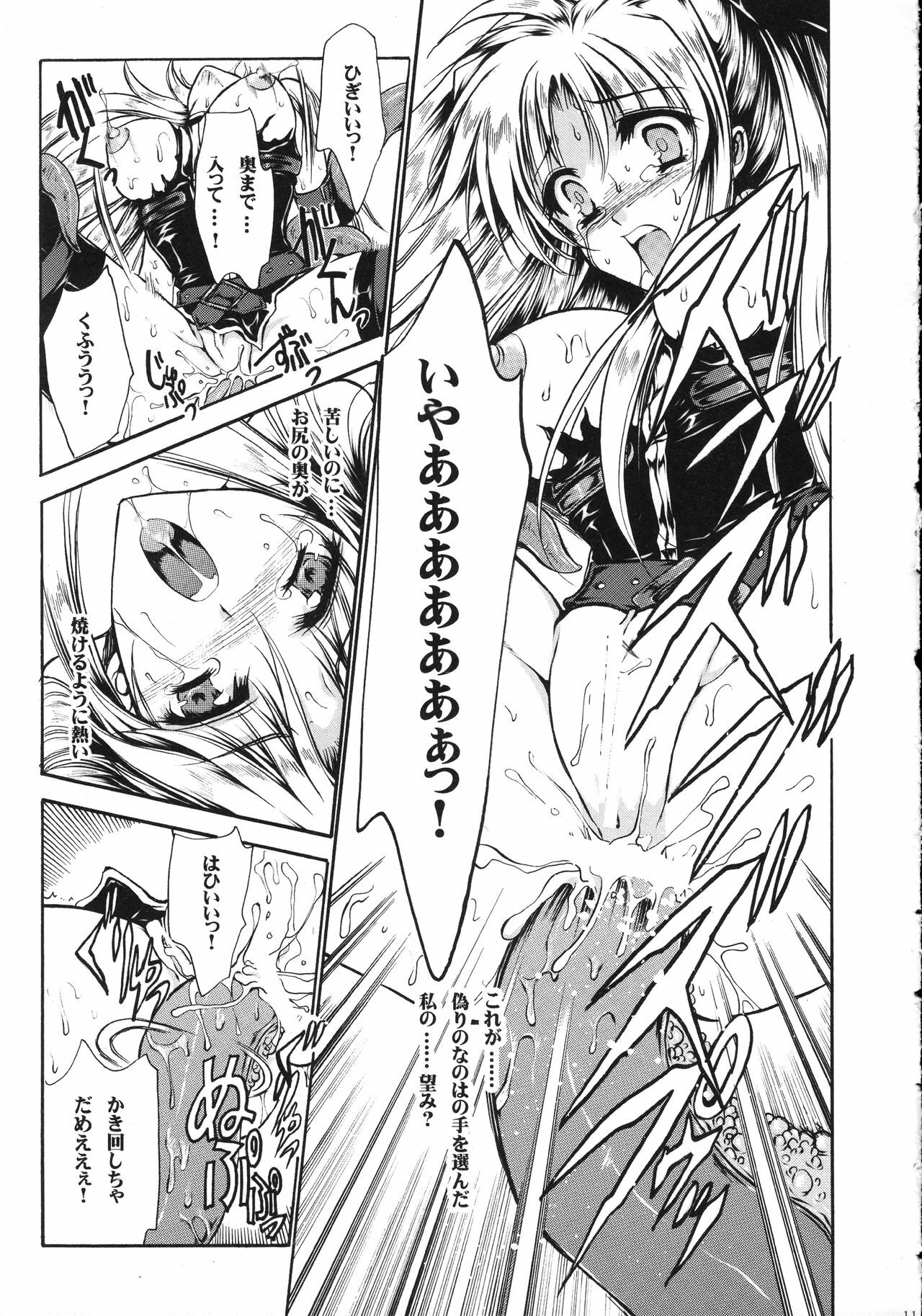 (Lyrical Magical 5) [Gin No Hoshitei (Tamiya Akito)] In Search Of Sanity (Mahou Shoujo Lyrical Nanoha) page 12 full