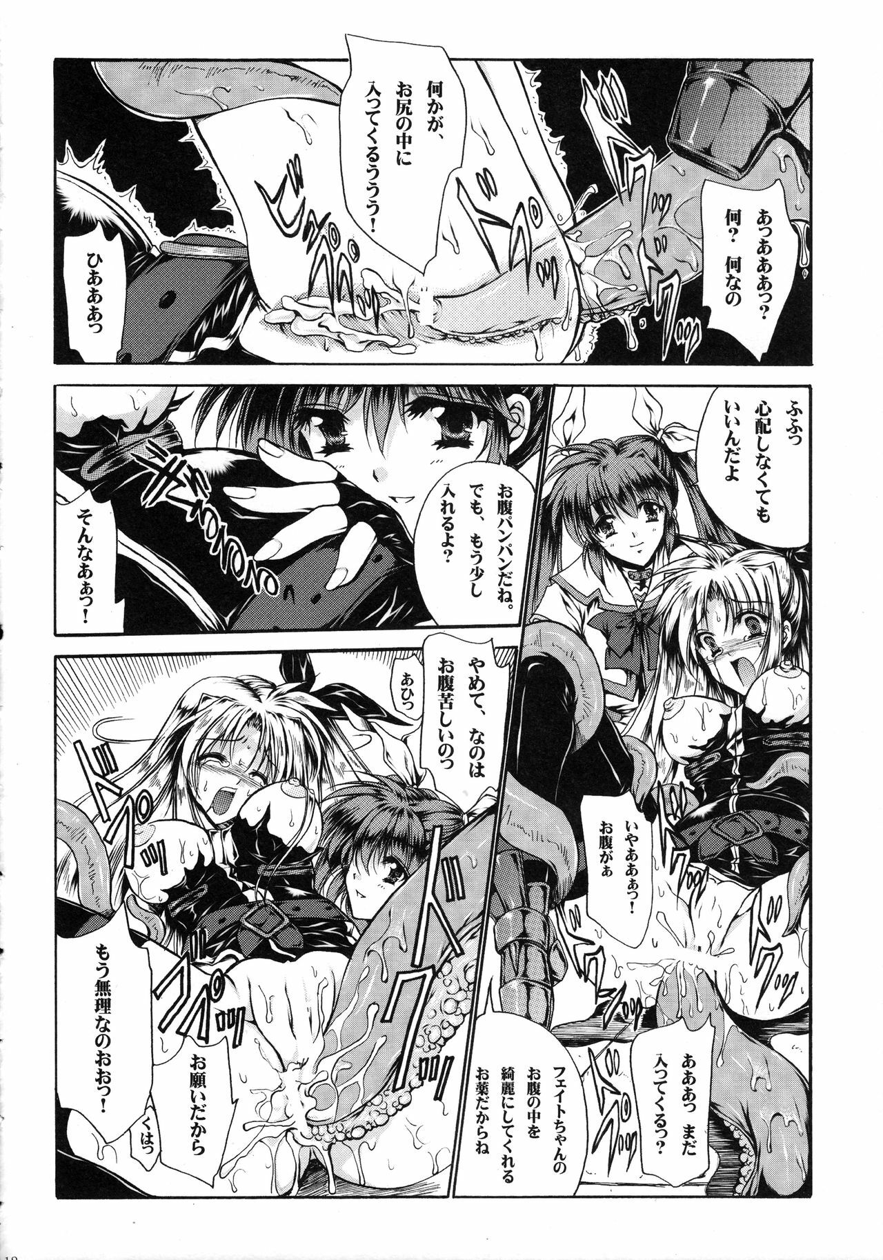 (Lyrical Magical 5) [Gin No Hoshitei (Tamiya Akito)] In Search Of Sanity (Mahou Shoujo Lyrical Nanoha) page 13 full