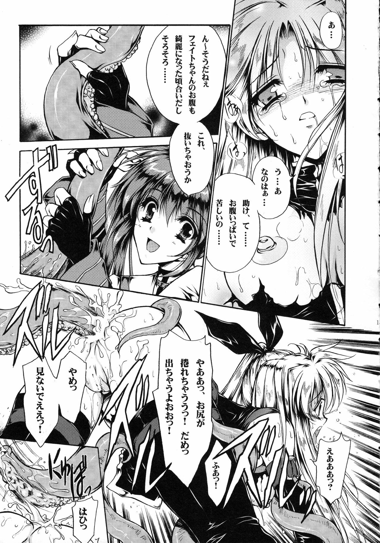 (Lyrical Magical 5) [Gin No Hoshitei (Tamiya Akito)] In Search Of Sanity (Mahou Shoujo Lyrical Nanoha) page 14 full