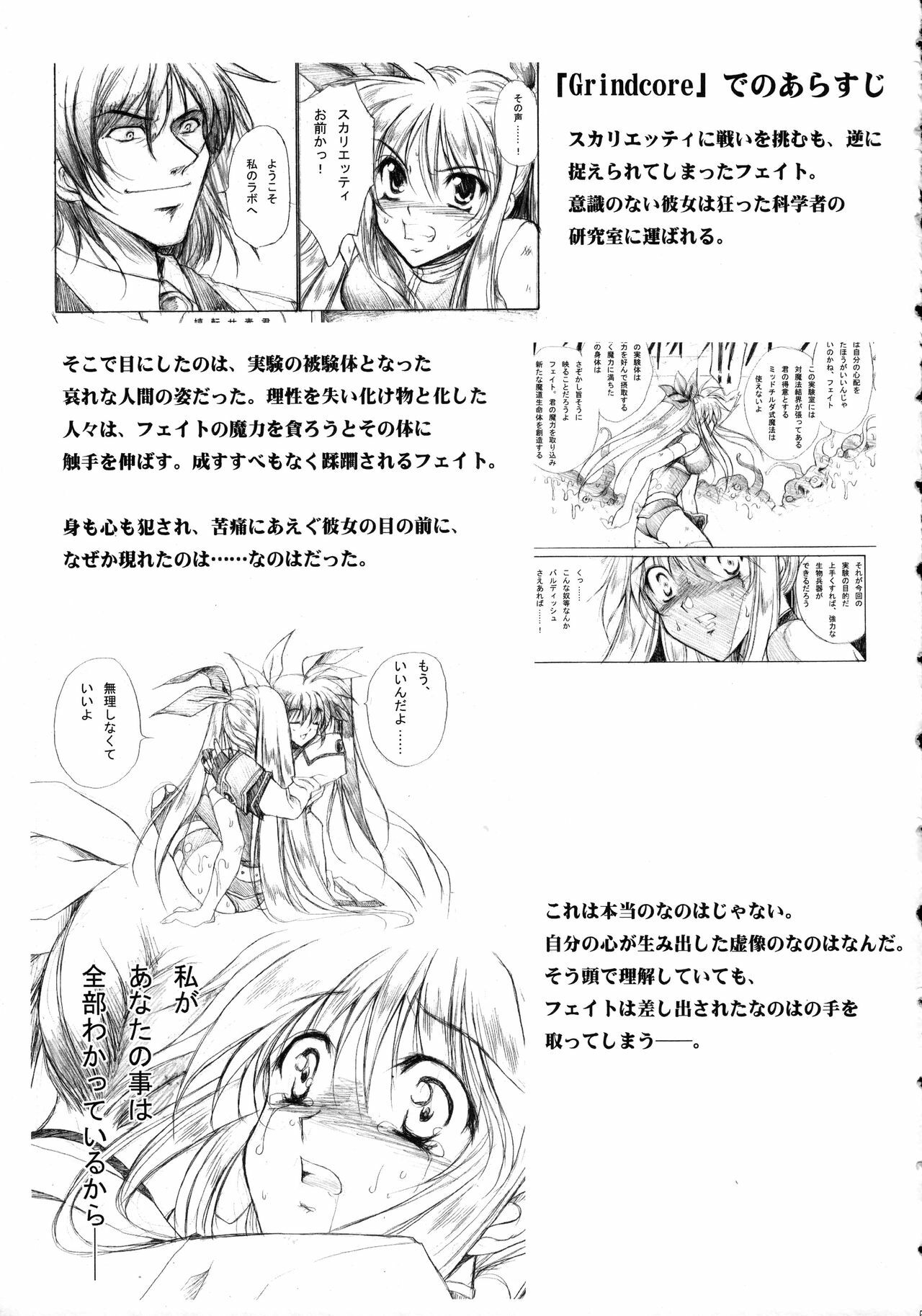 (Lyrical Magical 5) [Gin No Hoshitei (Tamiya Akito)] In Search Of Sanity (Mahou Shoujo Lyrical Nanoha) page 6 full