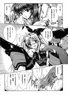 (Lyrical Magical 5) [Gin No Hoshitei (Tamiya Akito)] In Search Of Sanity (Mahou Shoujo Lyrical Nanoha) - page 11