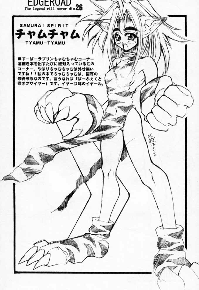 [Kikyakudou (Karateka-VALUE)] EDGE ROAD (Soul Calibur) page 25 full