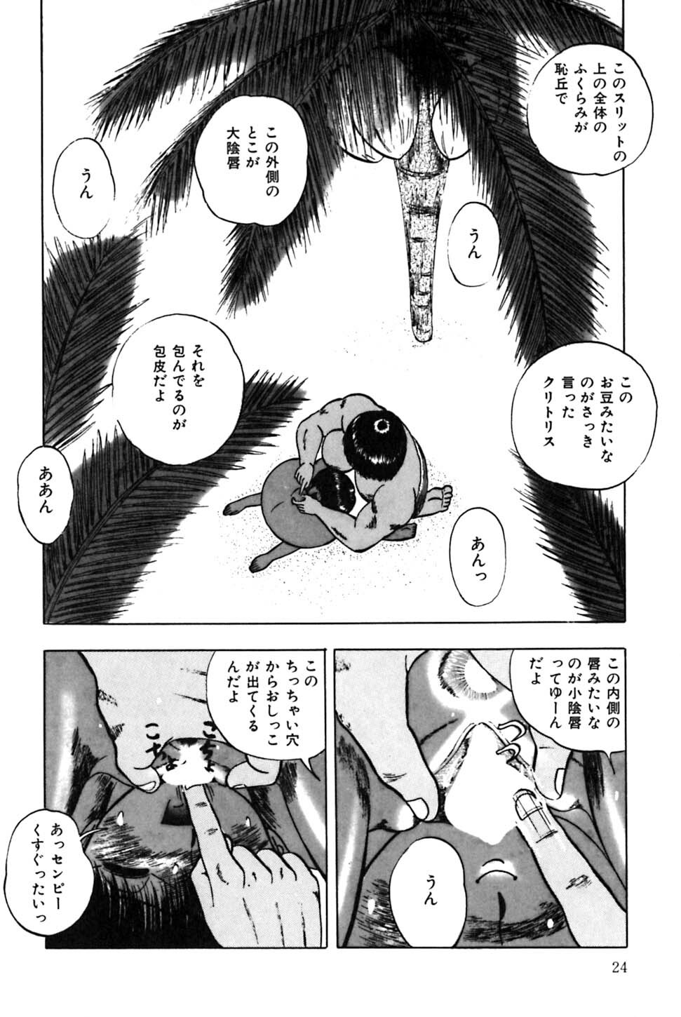 [Eiri Kiku] Minami no Kuni no Kuumi page 27 full