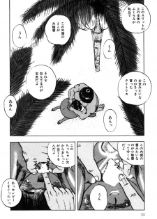 [Eiri Kiku] Minami no Kuni no Kuumi - page 27