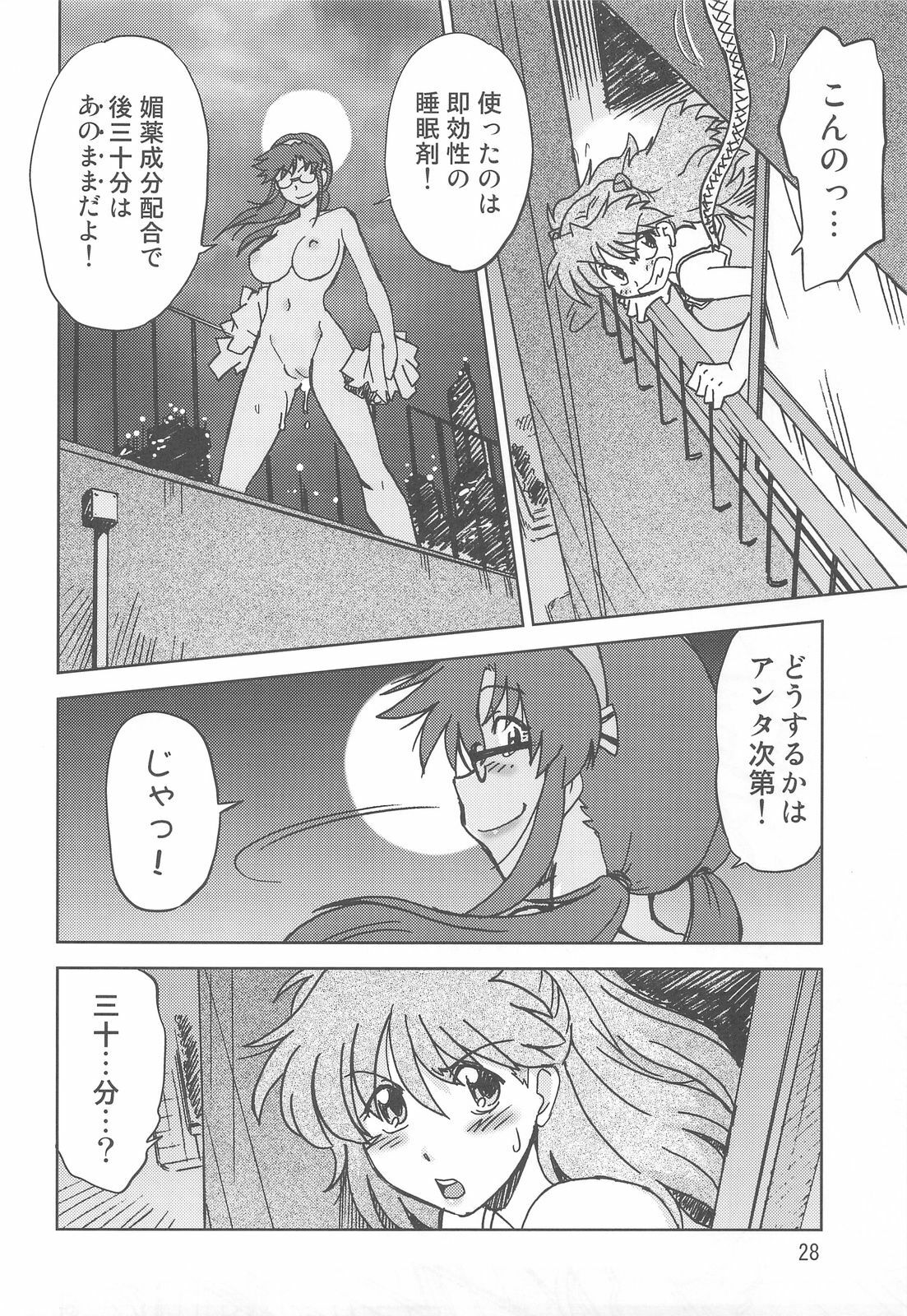 (C76) [Nazonokai (Mitamori Tatsuya)] Naminami (Neon Genesis Evangelion) page 27 full