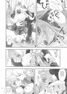 (C76) [Annin (Tooka)] Ninja Master (Final Fantasy Tactics) - page 14