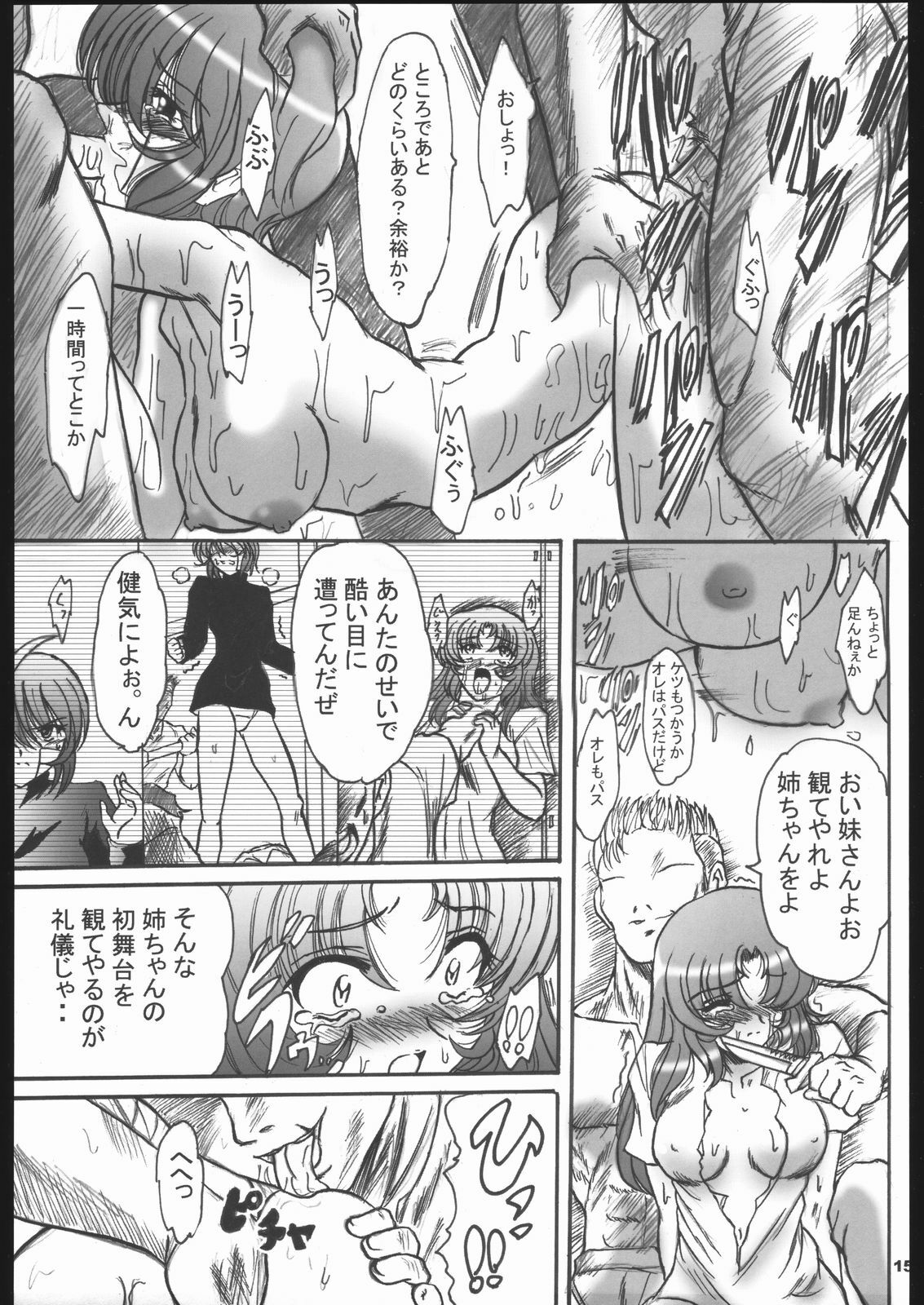 (C68) [L-Gauge Sha (Shouryuu)] SREX (Gundam SEED DESTINY) page 14 full