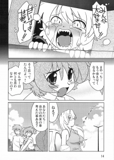 (COMITIA86) [Nazonokai (Mitamori Tatsuya)] Gokinjo no Monster - page 13