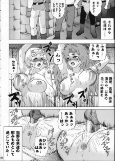 (ComiComi11) [Tsurikichi-Doumei (Hiraizumi Kou)] Moshimo Reina ya Risty to Okarerunagara (Queen's Blade) - page 29